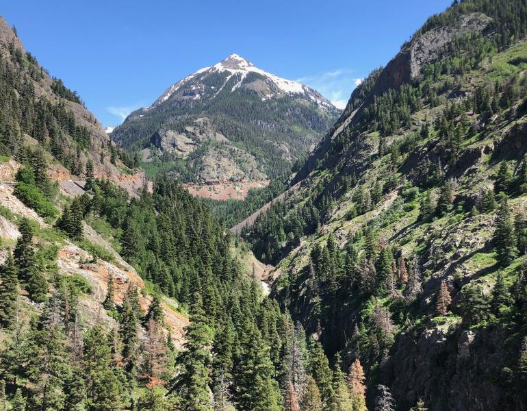 Rugged mountains and pine trees, some reddish brown and some green, are shown in this Colorado landscape.