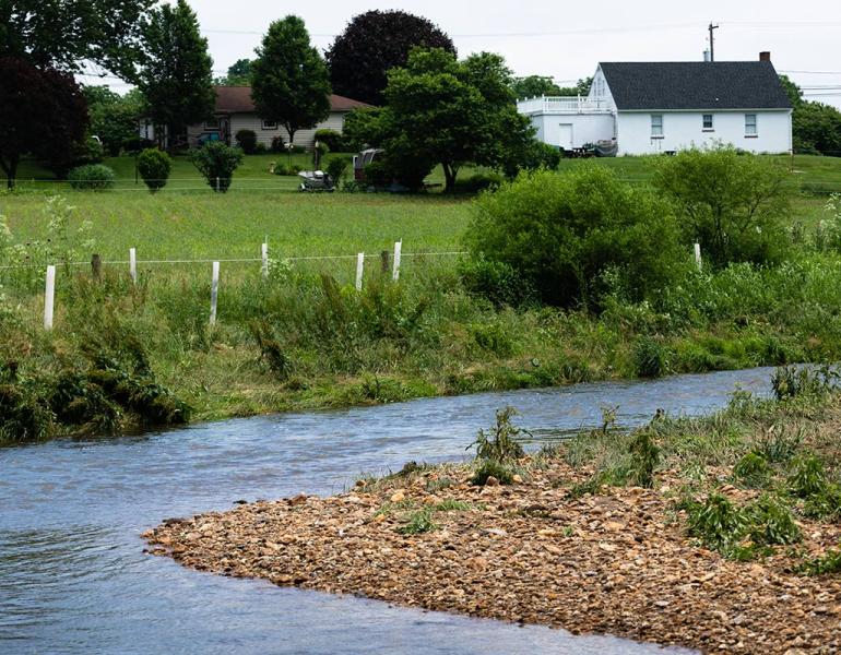 A stream winding past a livestock pasture. The stream is surrounded by planted tree saplings and small shrubs so that the bare pasture does not reach the stream. 