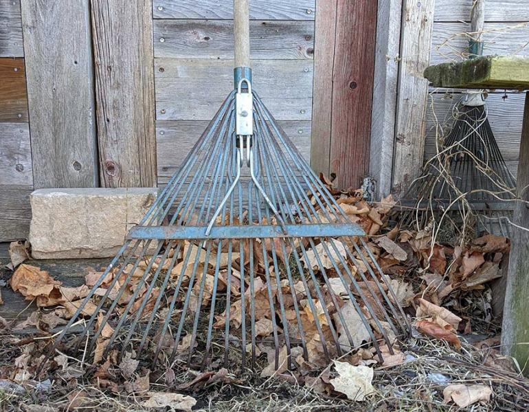 A rake leaning against a shed, with dried leaves left untidied on the ground.