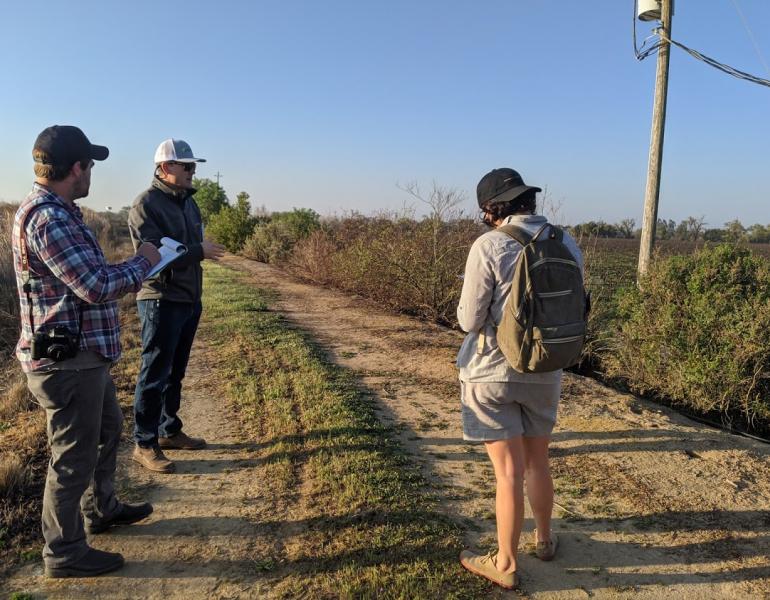 Three people, with clipboards in hand, inspect a hedgerow of young shrubs growing beside a dusty farm track.