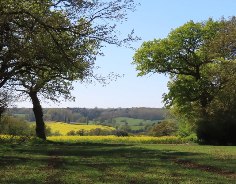 The English countryside is a patchwork of woodlands and farm fields edged by hedgerows.