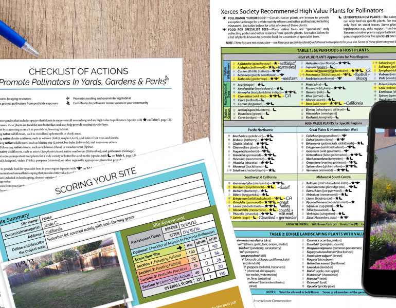 This graphic depicts a Checklist of Actions to Promote Pollinators in Yards, Gardens, and Parks; a score sheet for your site; a plant list; and a phone displaying a photo of some flowering habitat in front of a small house.