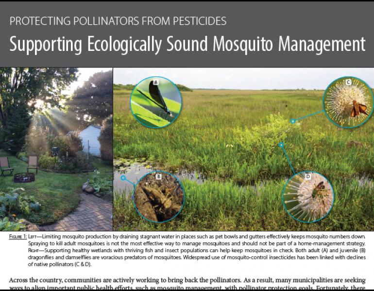 The front page of the guide Supporting Ecologically Sound Mosquito Management: Protecting Pollinators from Pesticides is shown, with some large text blocks and an image of a field in which different insects, including butterflies and bees, are shown in a landscape.