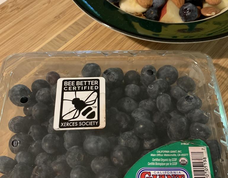 A clear plastic container of blueberries on a kitchen counter beside a breakfast bowl containing cereal and fruit. The blueberry container has the black-and-white Bee Better Certified label