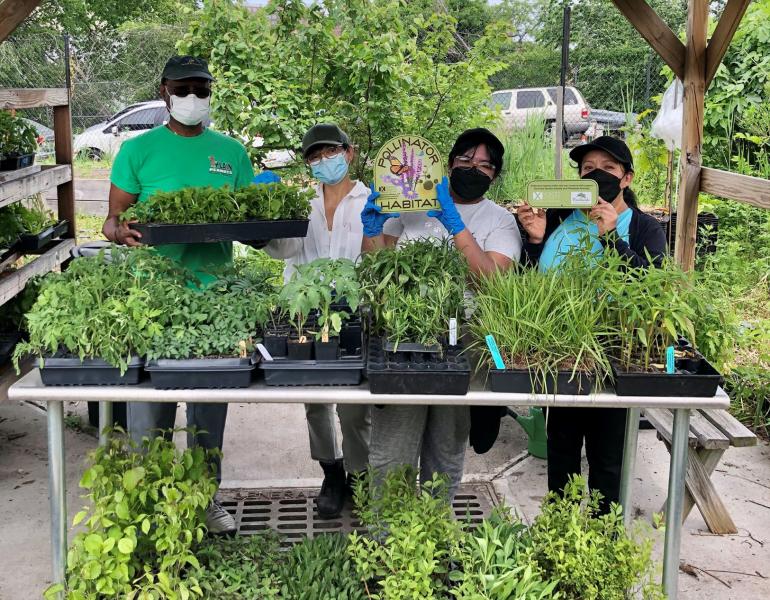 New Roots Community Farm in New York City (Photograph by Dina Garcia).