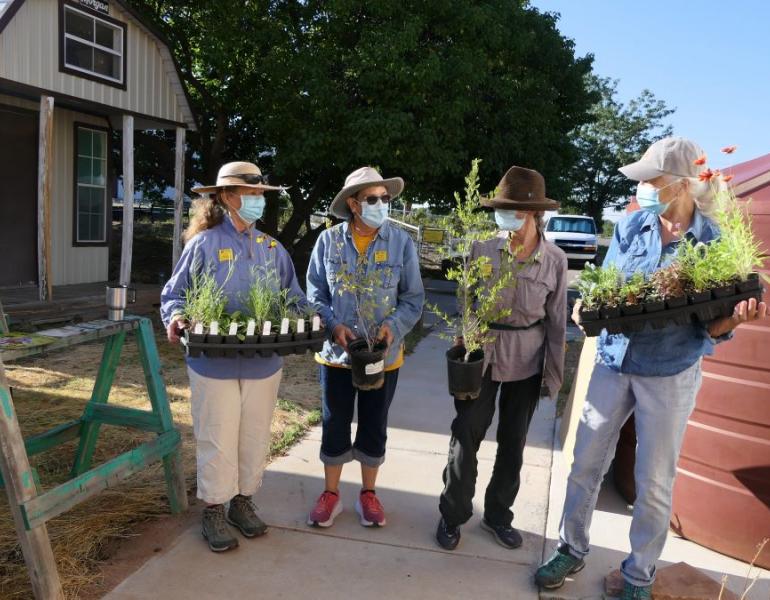 Santa Fe Extension Master Gardeners and the habitat kits they are about plant at the Santa Fe County Extension Office Demonstration Gardens. The eighteen species in the kits are native, climate-resilient species which will support a diversity of native pollinators across seasons. (Photo: Kaitlin Haase / Xerces Society)