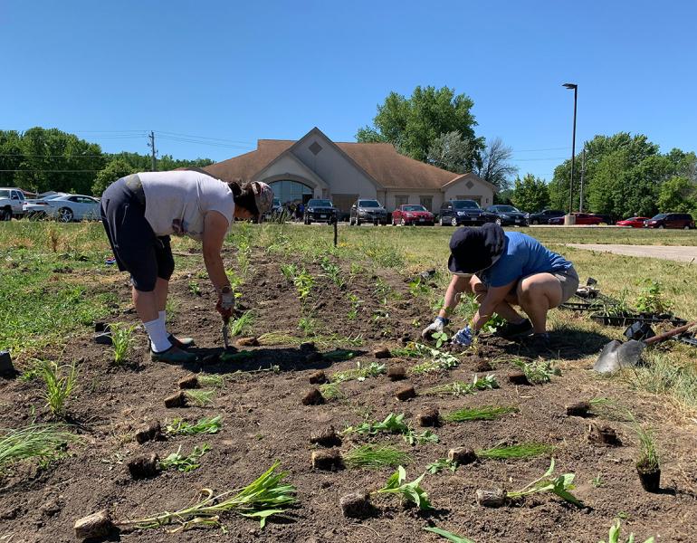 Several people planting seedlings in a prepared site in front of a building