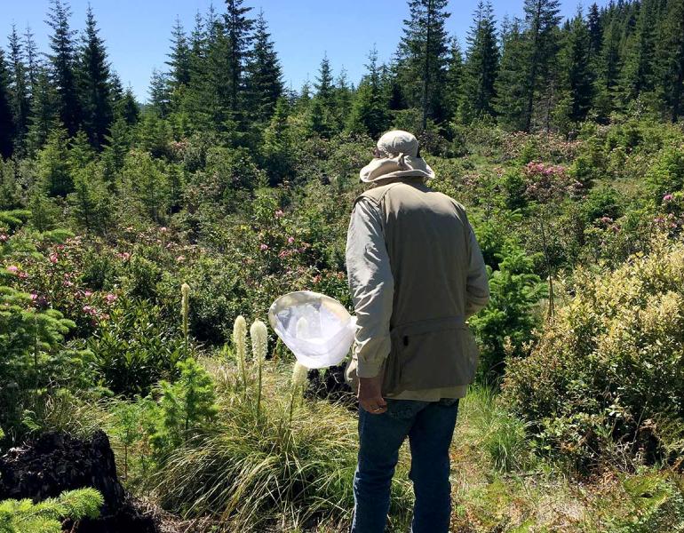 David Kollen walking outdoors with a bumble bee net 