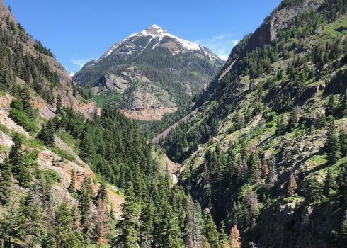 Rugged mountains and pine trees, some reddish brown and some green, are shown in this Colorado landscape.
