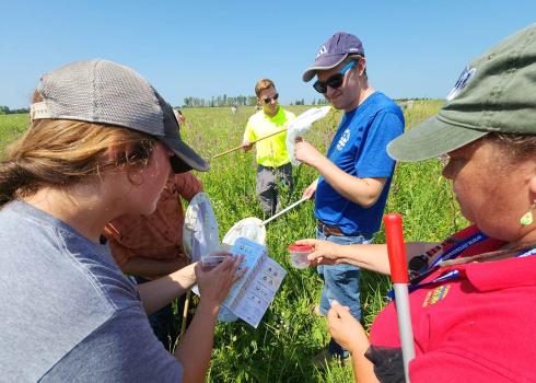 Several people, both women and men, each carrying butterfly nets, gather together to look excitedly at a bee identification guide. Two are holding bees in plastic containers, comparing them to the guide.