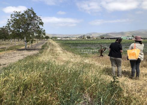 Two women stand beside a farm field. One has a black shirt and pale brown pant. The other black pants and a pale brown shirt and is wearing a broad-brimmed hat and carries an orange bag. A strip of brown grass stretches down the edge of the field. Beside the field is an orchard of trees with white trunks and green leaves. In the distance is a green barn and houses with red roofs, and beyond them hills rising toward the blue sky.