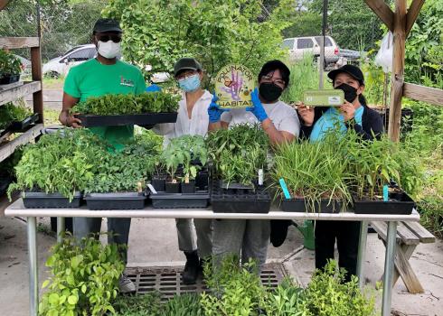New Roots Community Farm in New York City (Photograph by Dina Garcia).