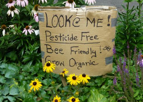 Pesticide free homemade garden sign. Photograph by Mike Licht, Flickr.
