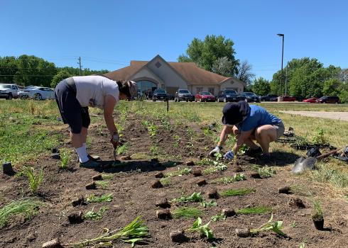 Several people planting seedlings in a prepared site in front of a building