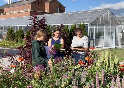 A group of three college students with clipboards watch carefully for bees beside a flower-rich garden.