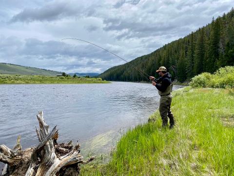 Person fishing with rod on the bank of a stream