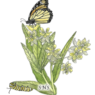 Manitoba Native Seed Mix