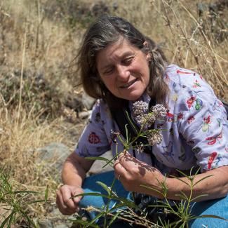 Mia Monroe inspecting a milkweed plant