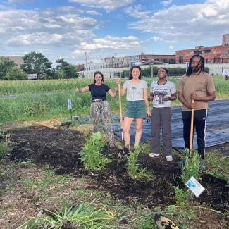  Four people, two white and two black, holding shovels and smiling while standing in front of several freshly planted native flowers. Behind them tarps protect a small plot of crops. 