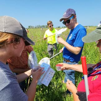 Several people, both women and men, each carrying butterfly nets, gather together to look excitedly at a bee identification guide. Two are holding bees in plastic containers, comparing them to the guide.