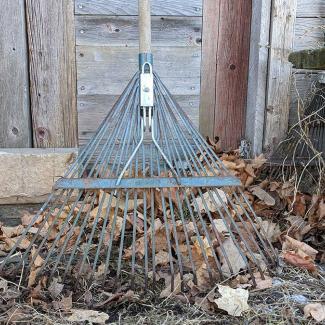A rake leaning against a shed, with dried leaves left untidied on the ground.