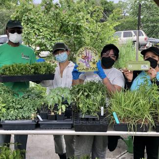 Four people stand behind a table laden with trays of small plants. They are holding plants and "pollinator habitat" signs ready for a day of hard work.