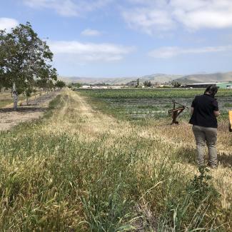Two women stand beside a farm field. One has a black shirt and pale brown pant. The other black pants and a pale brown shirt and is wearing a broad-brimmed hat and carries an orange bag. A strip of brown grass stretches down the edge of the field. Beside the field is an orchard of trees with white trunks and green leaves. In the distance is a green barn and houses with red roofs, and beyond them hills rising toward the blue sky.