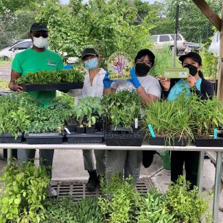 New Roots Community Farm in New York City (Photograph by Dina Garcia).