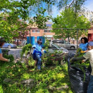 Volunteers weeding in a People's Garden in the Bronx