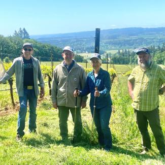 3 men and a women with butterfly nets and hiking poles smile in a vineyard