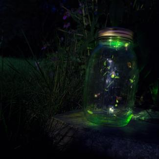 A glowing green mason jar contains a few fireflies in flight.