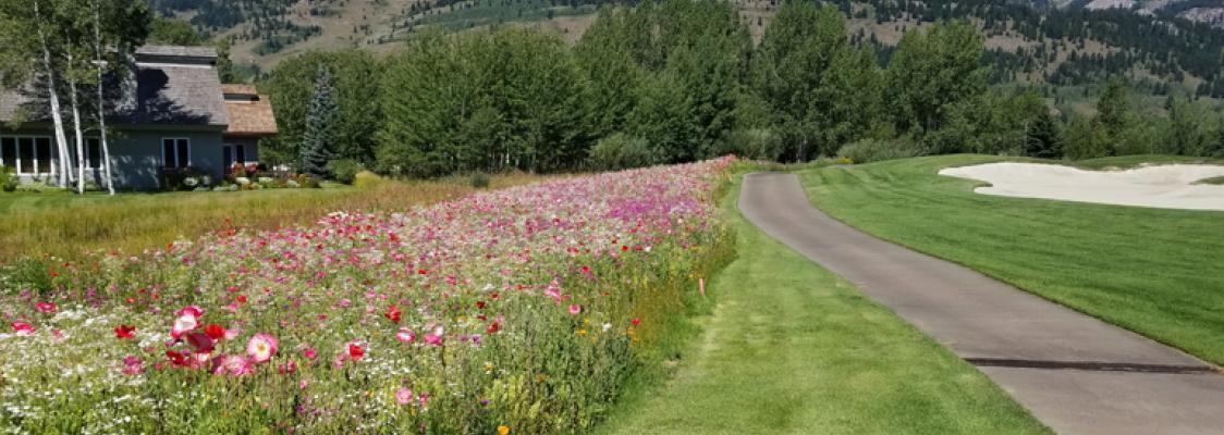 Photo: David Phipps / Oregon State University