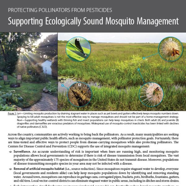 The front page of the guide Supporting Ecologically Sound Mosquito Management: Protecting Pollinators from Pesticides is shown, with some large text blocks and an image of a field in which different insects, including butterflies and bees, are shown in a landscape.